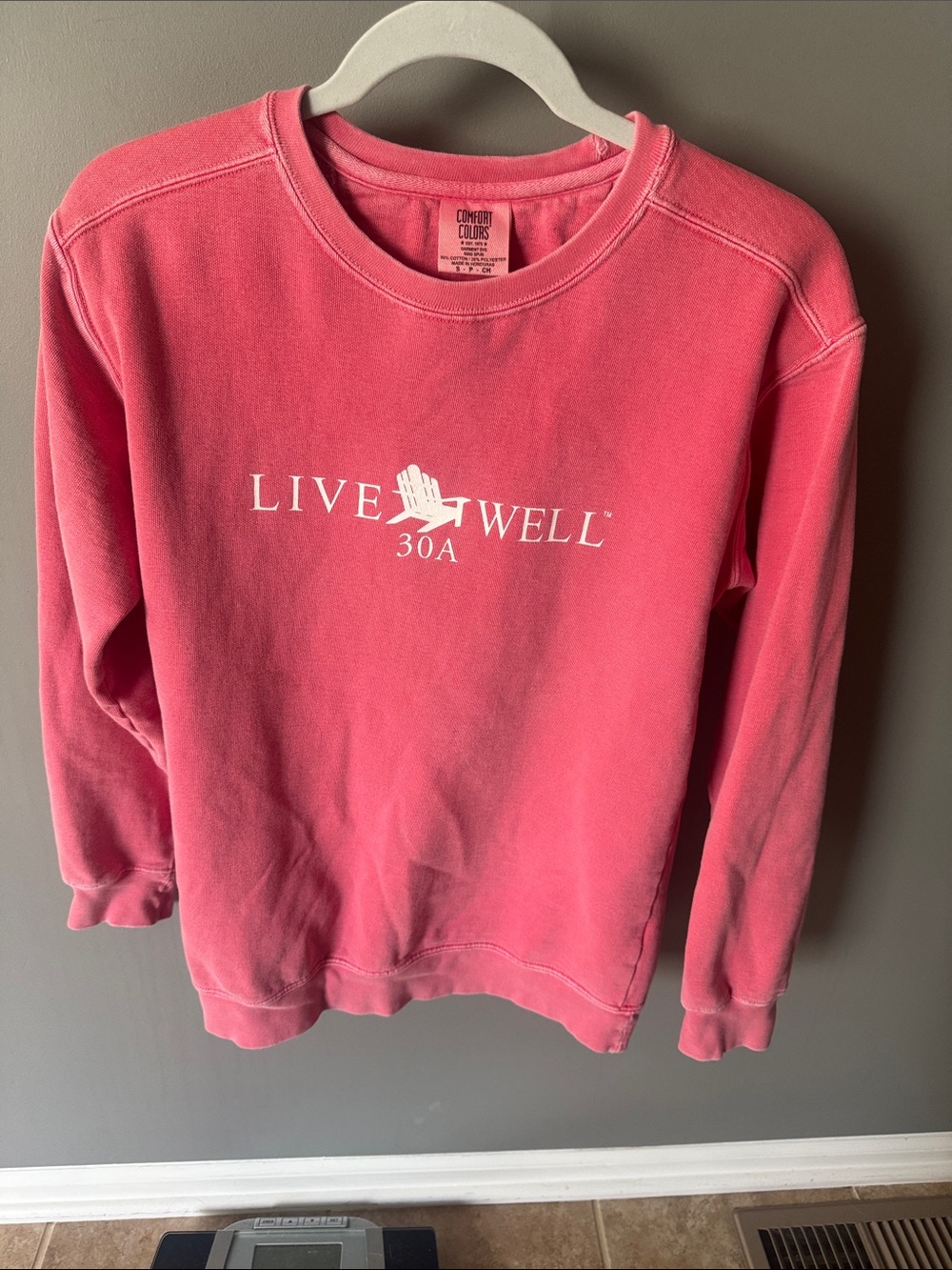 Comfort Colors Pink "Live Well 30A" Crewneck Sweatshirt